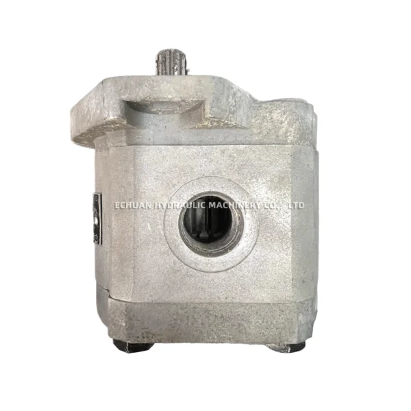 REXROTH R900580381FD PGF2-2X011RA01VP2