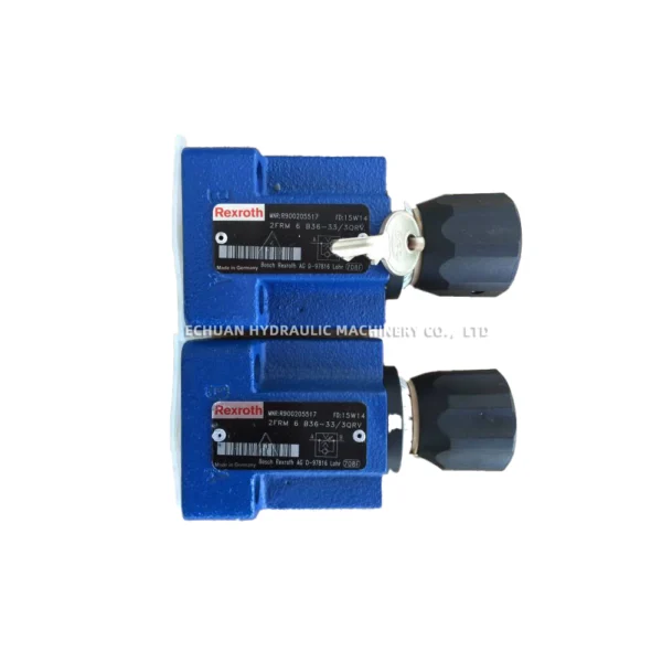 REXROTH R900205517 2FRM6B36-33/3QRV - Image 3