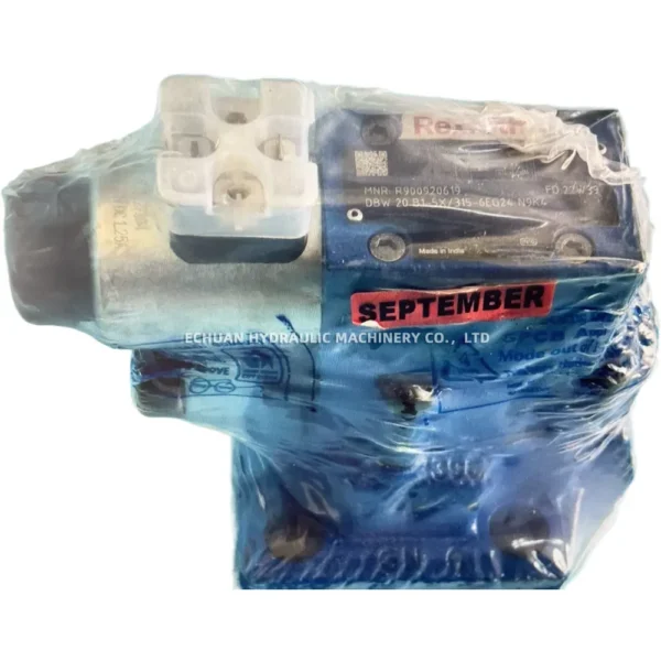 Rexroth DBW 20 B1-5X/315-6EG24 N9K4 R900920619