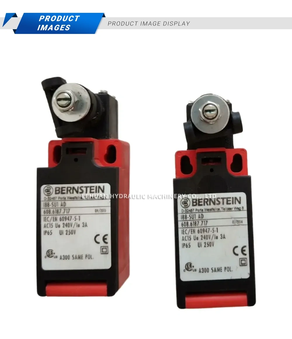 BERSTEIN I88-SUI AD Description