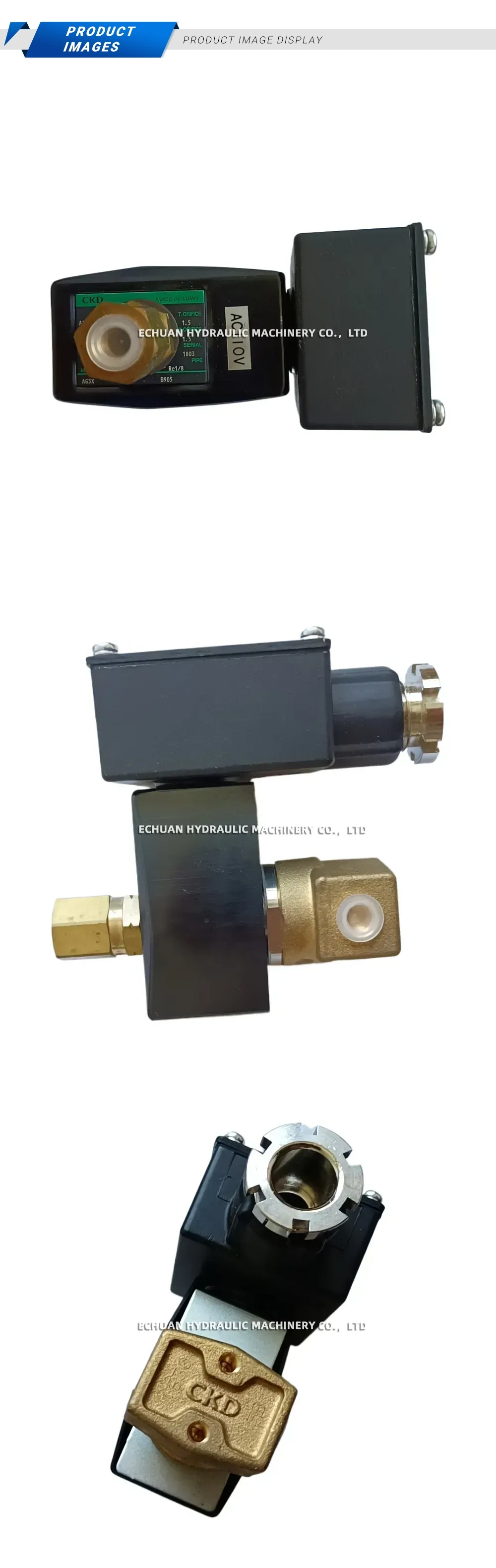 CKD AG3X-B905-FLA51312-AC110V Description