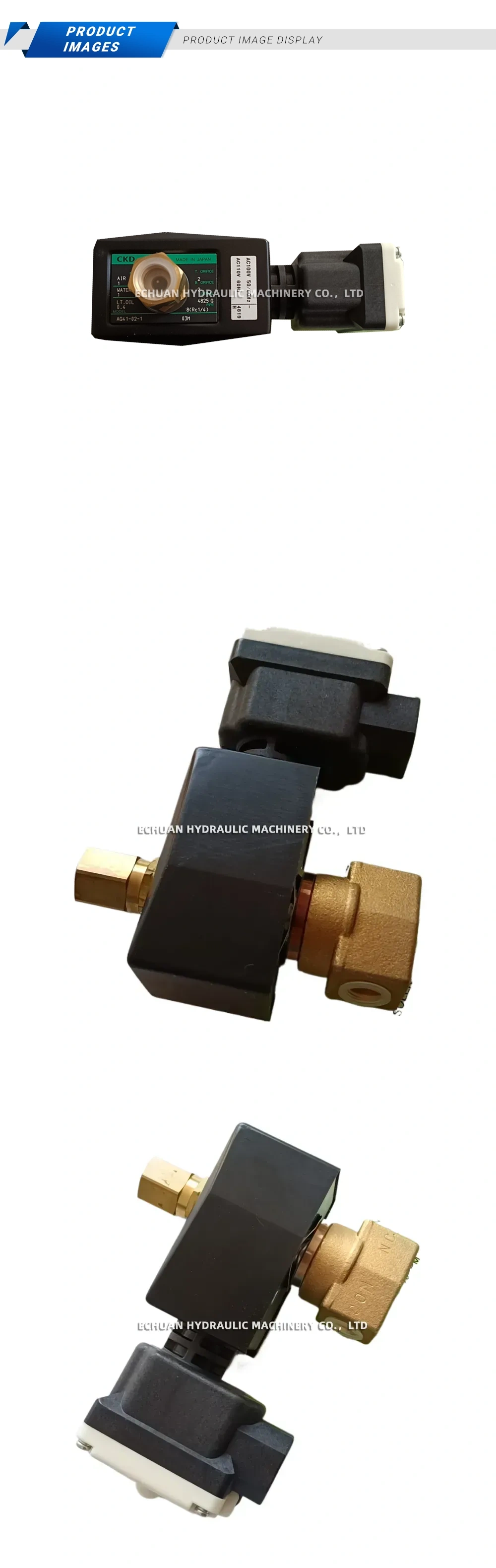 CKD AG41-02-1 Description