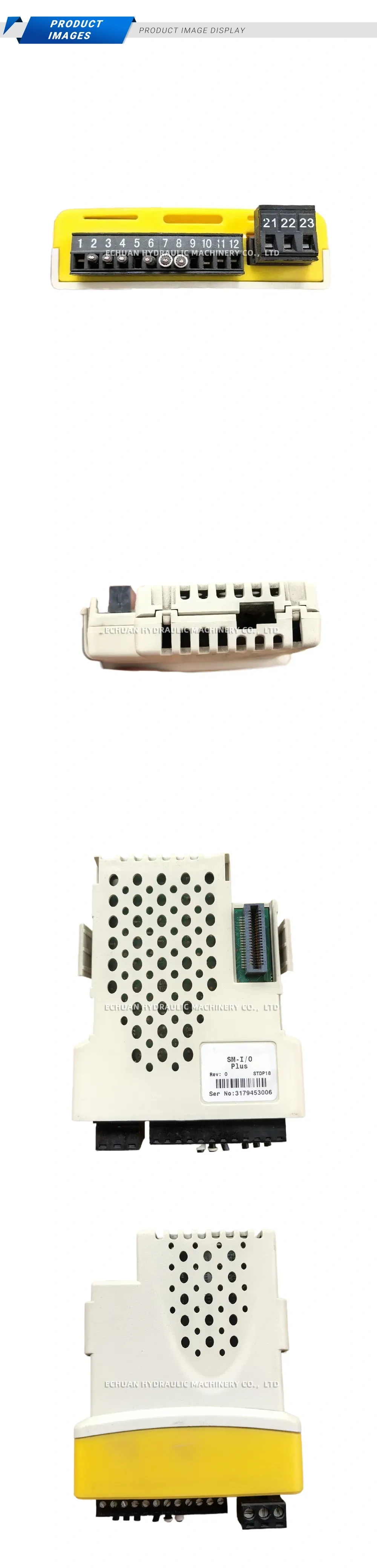 EMERSON SM-I/O PLUS Description