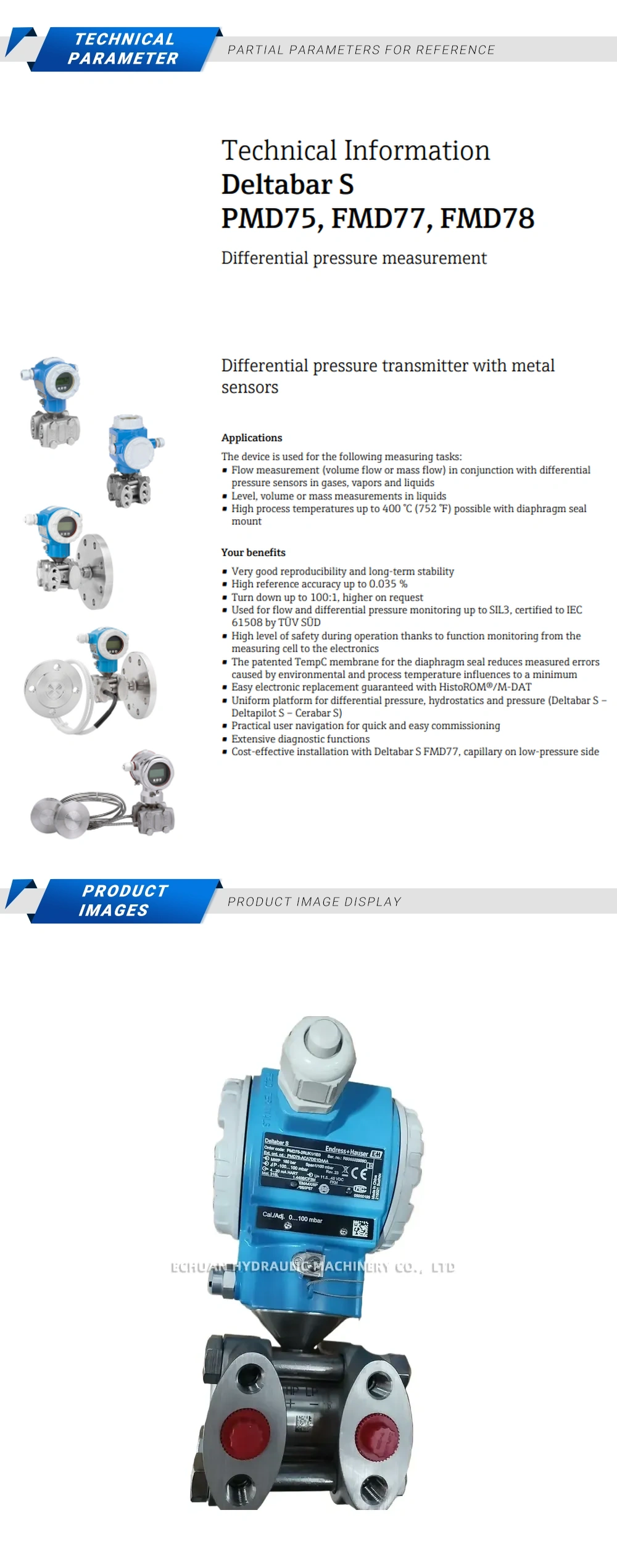Endress+Hauser PMD75-2RUK1/1E0 Description