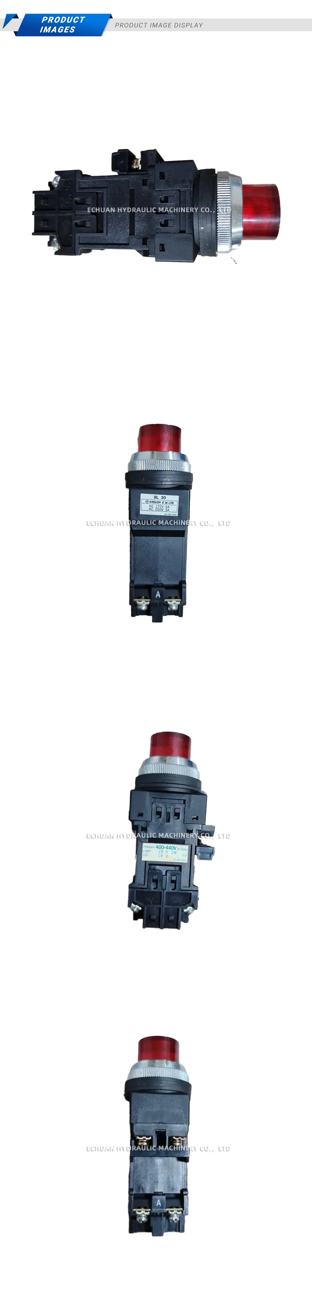 KASUGA BL30 Description