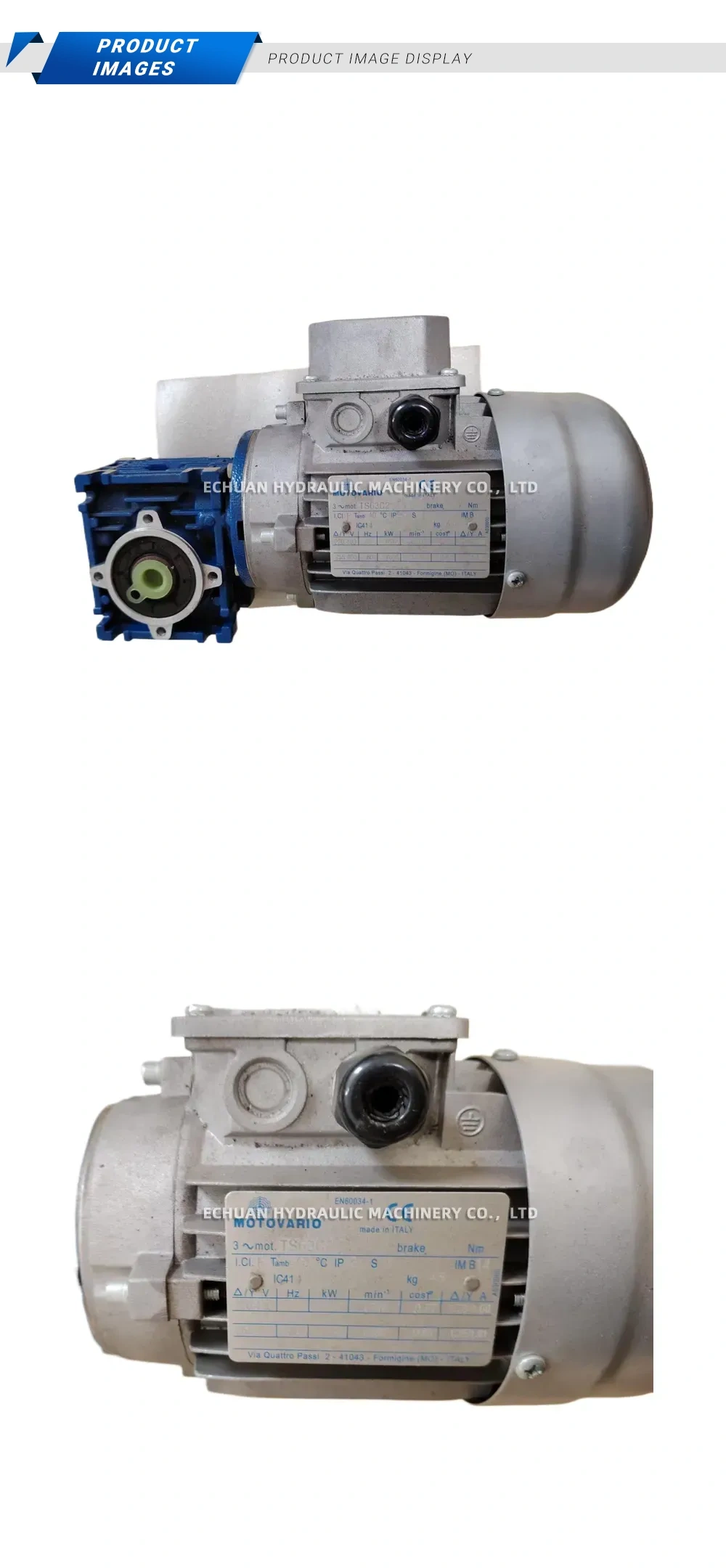 Motovario TS63C2 Description