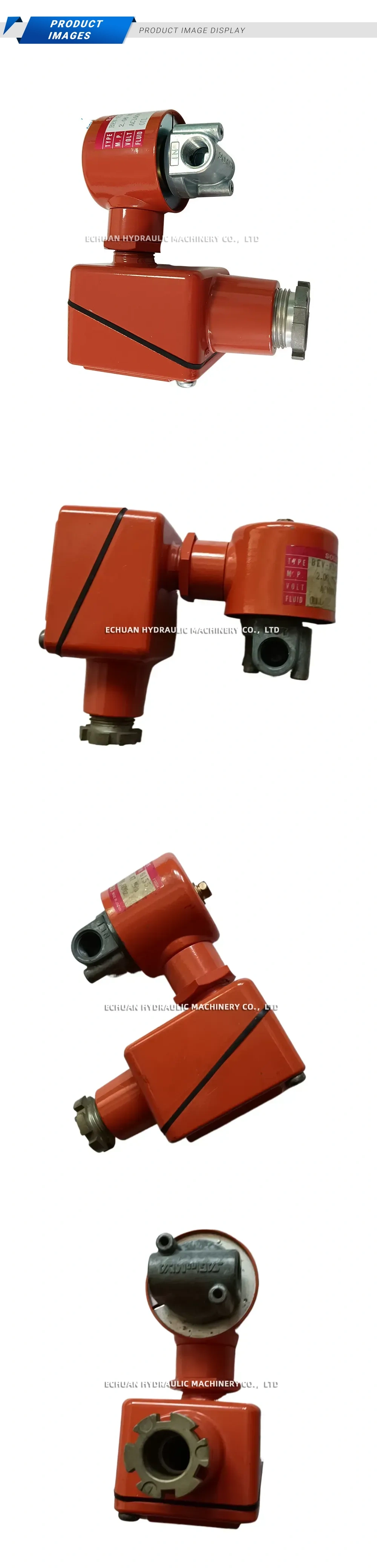 SAGLNOMIYA BEV-H162GQ30 Description