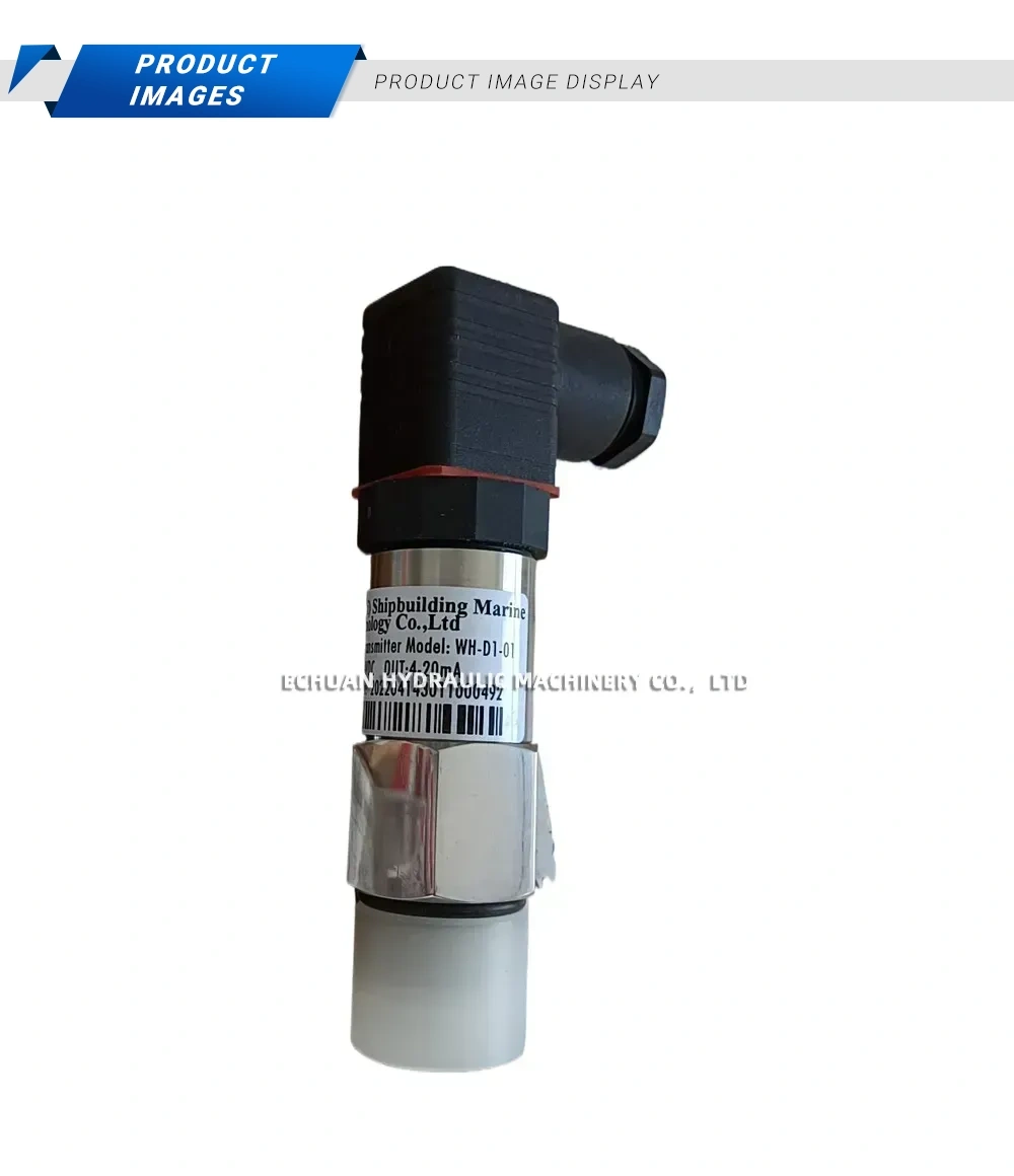 Weihai WH-D1-01 Description