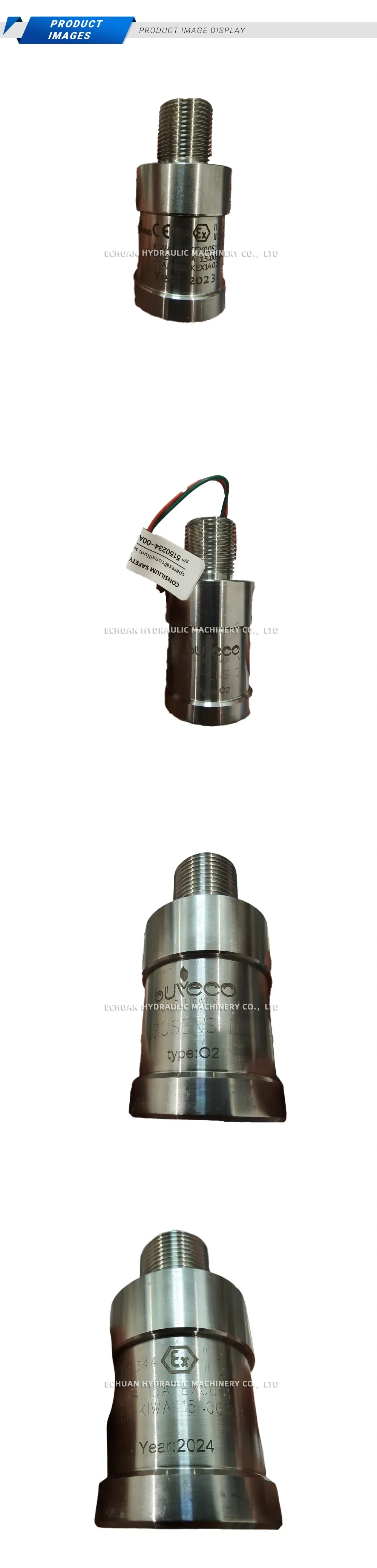 Consilium BUSENS D O2 Description