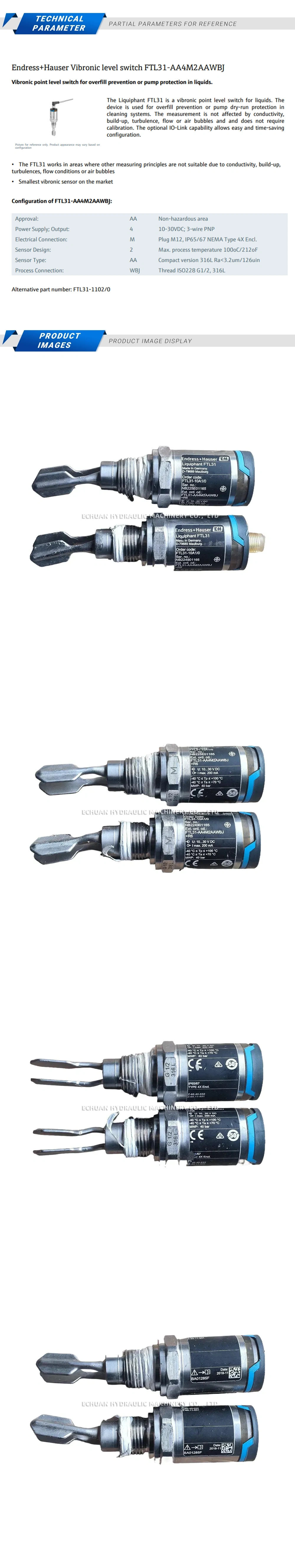 Endress+Hauser FTL31-AA4M2AAWBJ Description