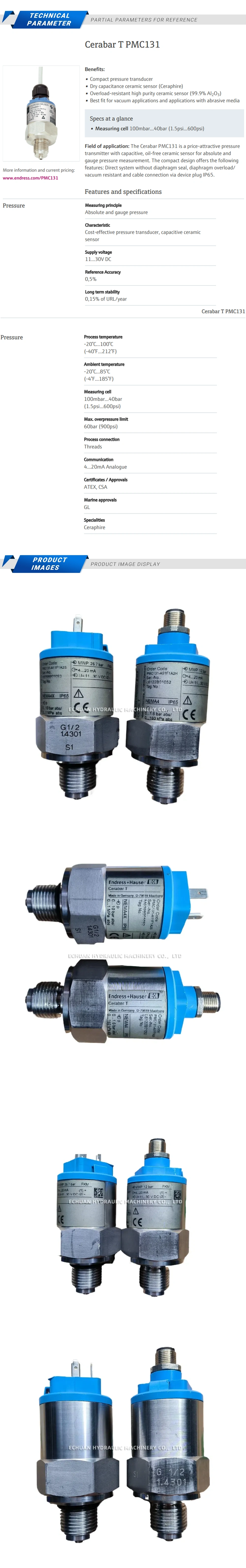 Endress+Hauser PMC131-A51F1A2H Description