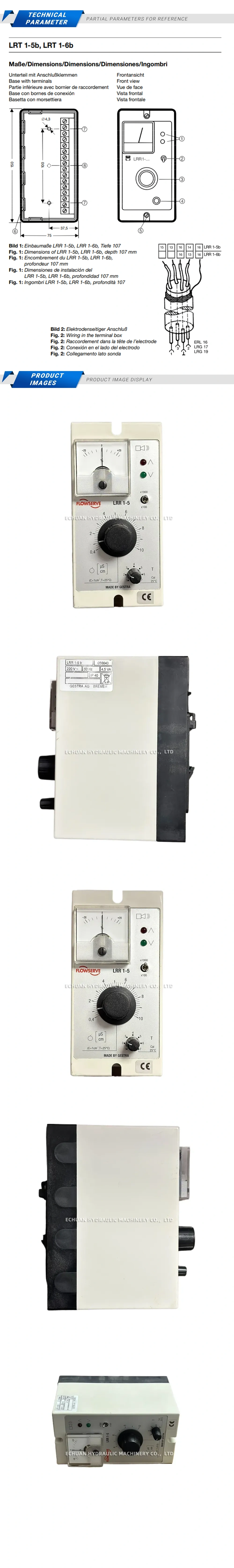 Gestra LRR1-5 Description