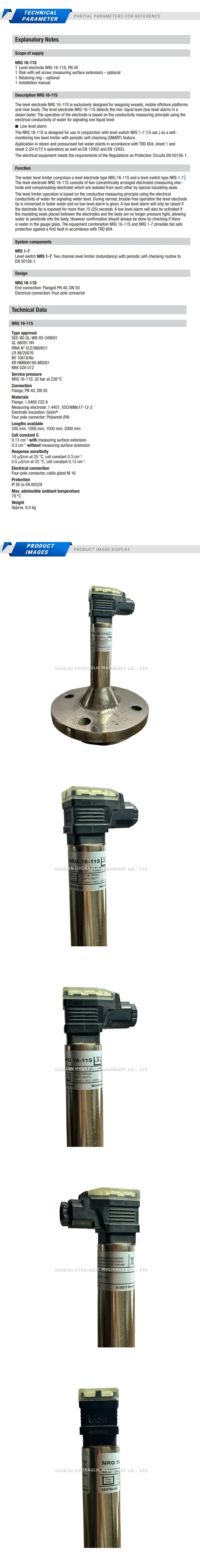 Gestra NRG 16-11S Description