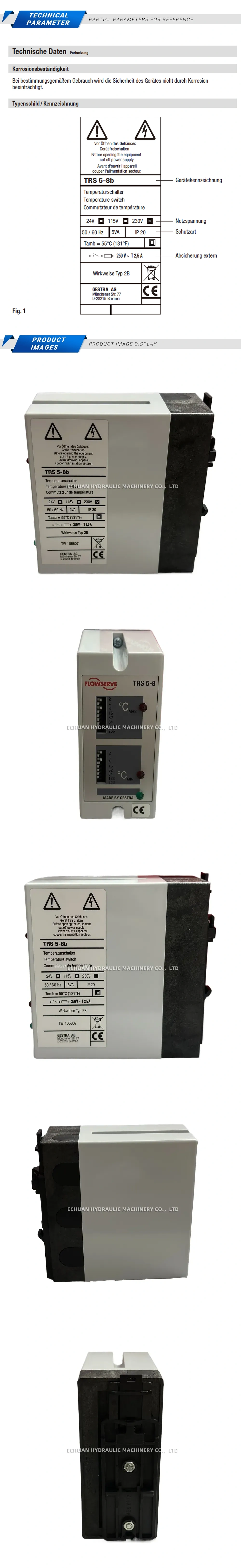 Gestra TRS 5-8B Description