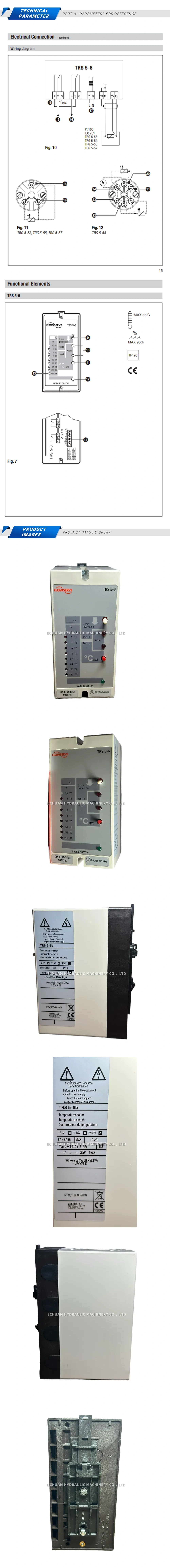 Gestra TRS5-6 Description