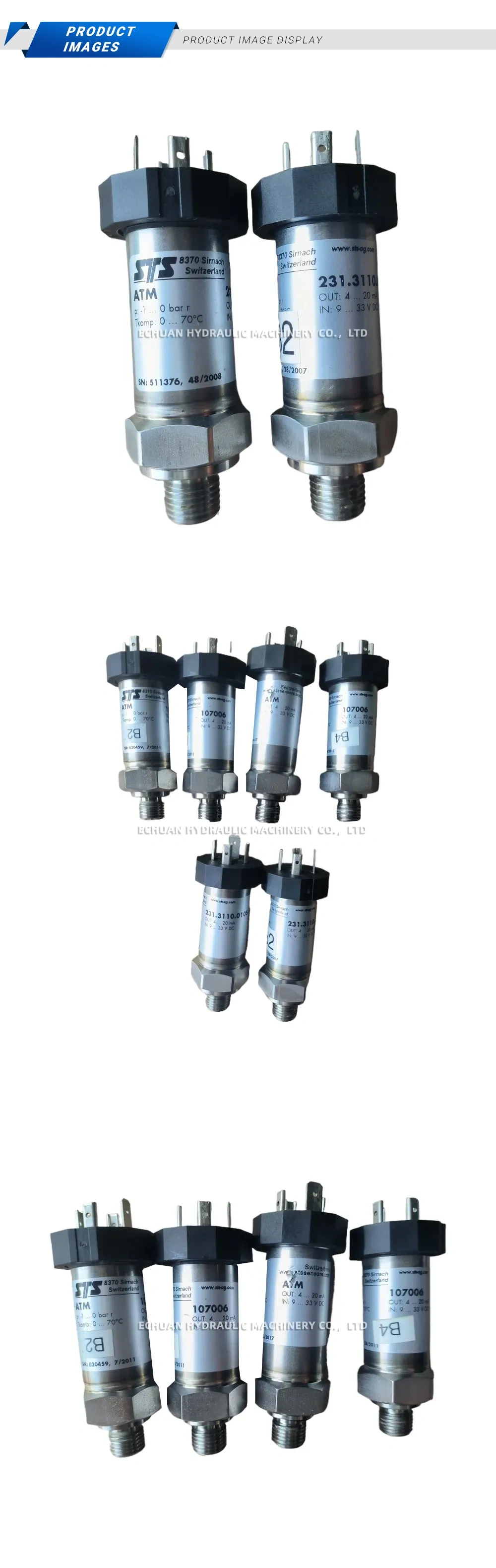 STS 107006 Description