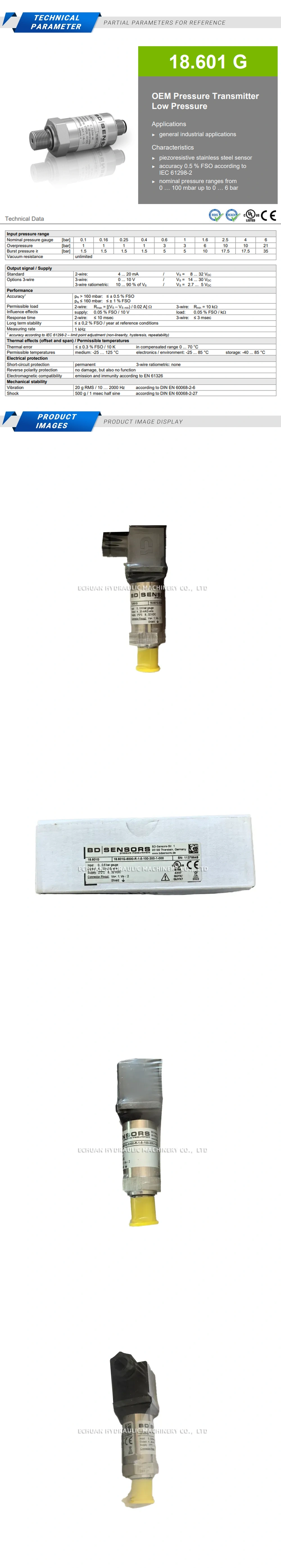 BD 18.601G-6000-R-1-5-100-300-1-000 Description