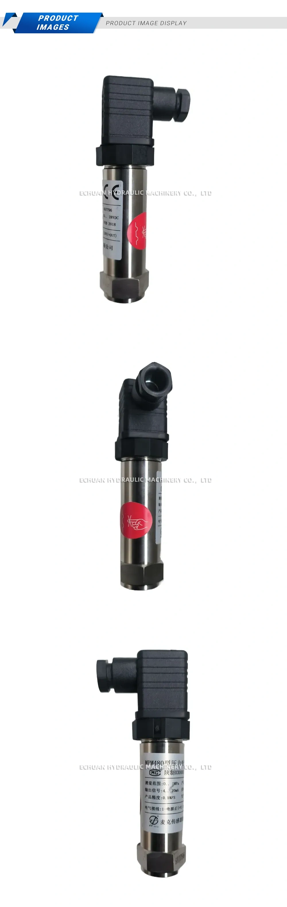 Micro MPM480 E22B1C1G Description