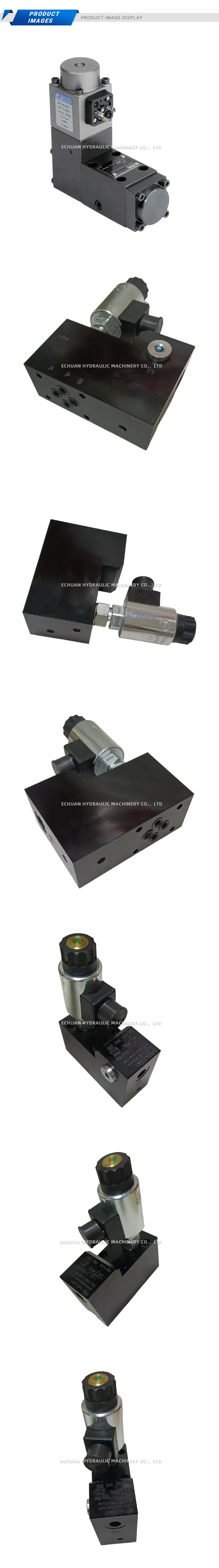 Parker VMY160L06NV1P Description