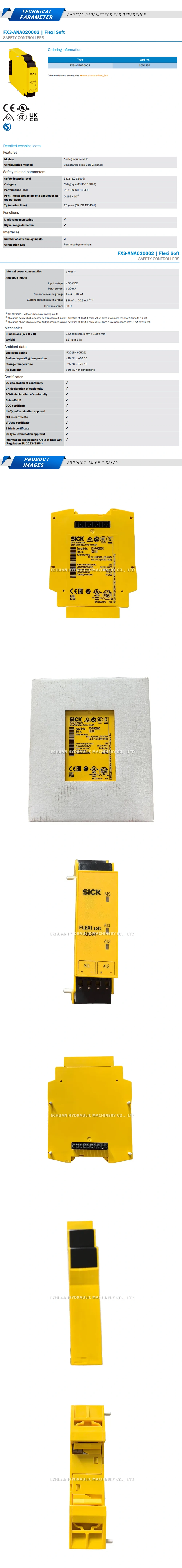 Sick FX3-ANA020002 Description