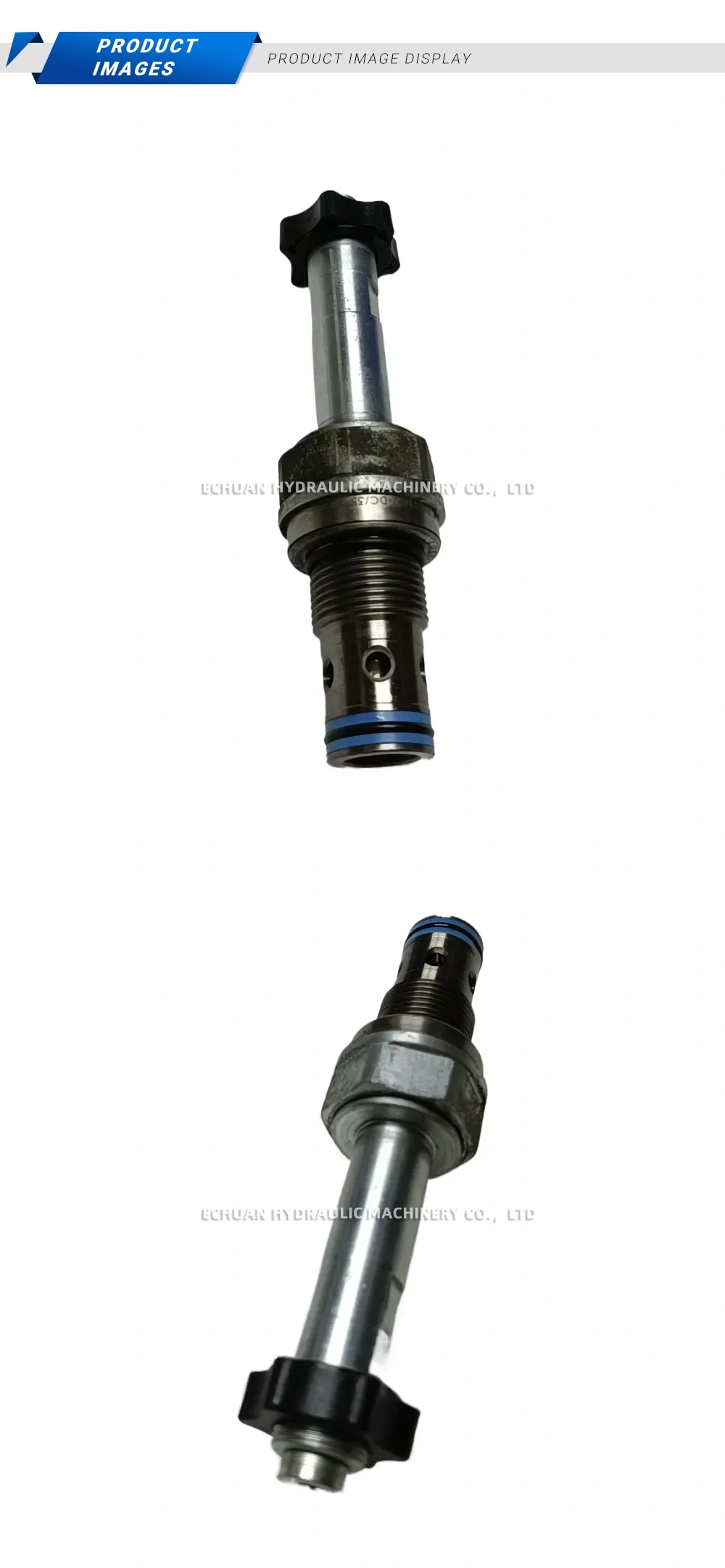 Wandfluh SVSPM22-DC/35-11 Description