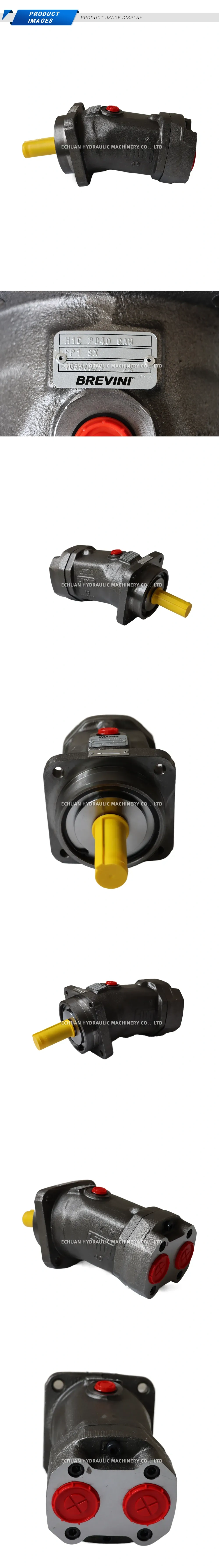 Brevini H1C P040 CAW Description