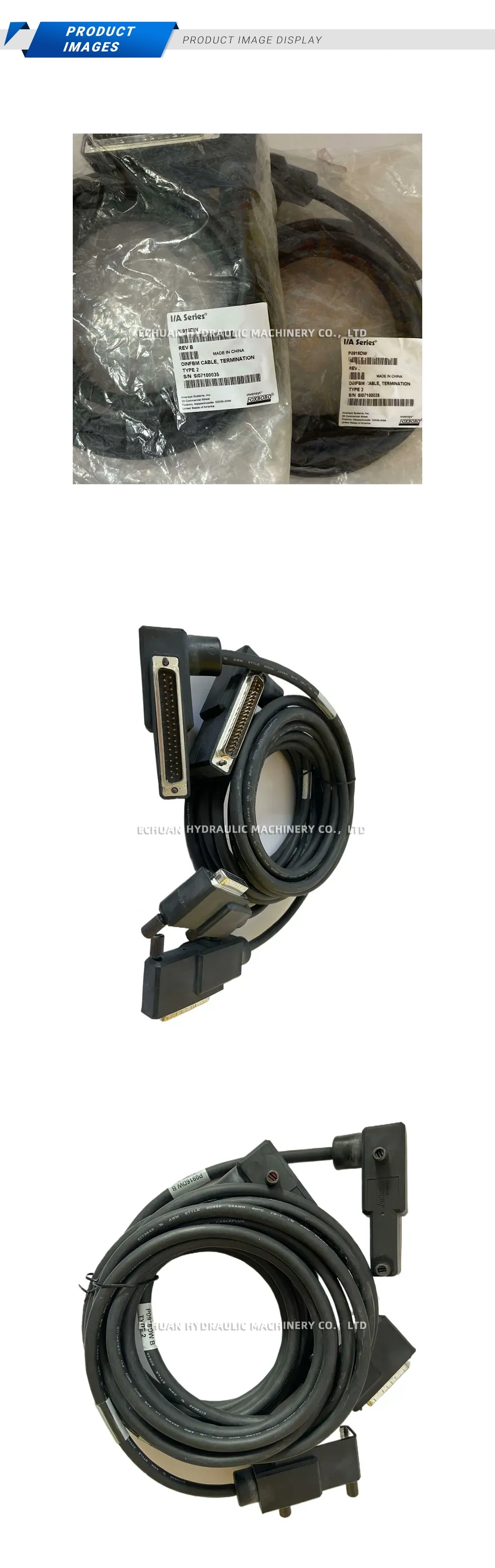 Foxboro P0916DW Description