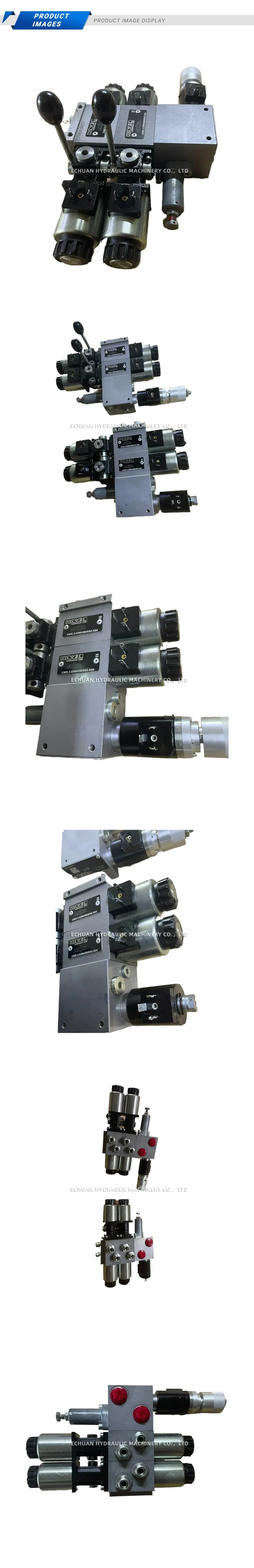 Hawe CWS 2-D/MH2B/0/02-X24 Description