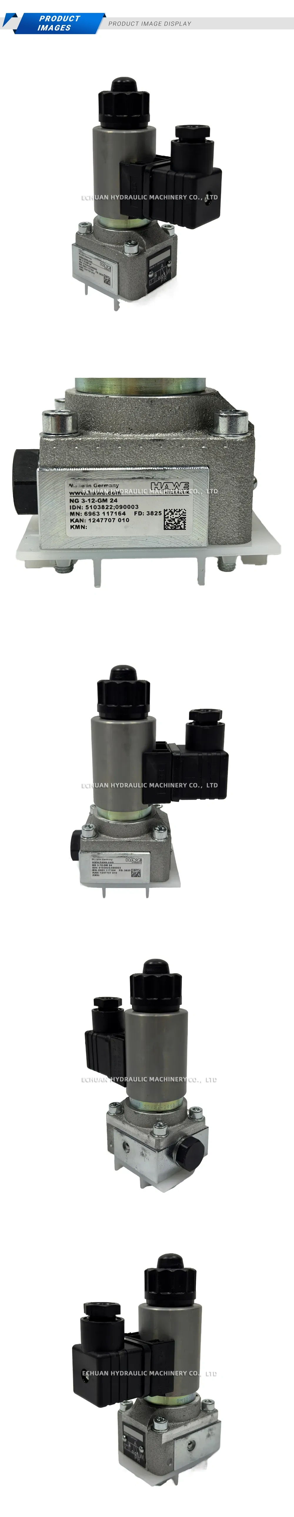 Hawe NG3-12-GM 24 Description