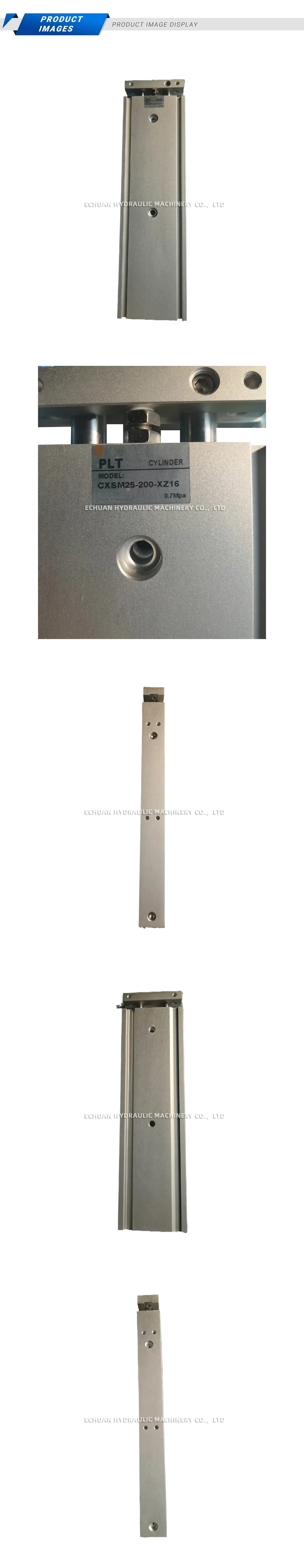 PLT CXSM25-200-XZ16 Description