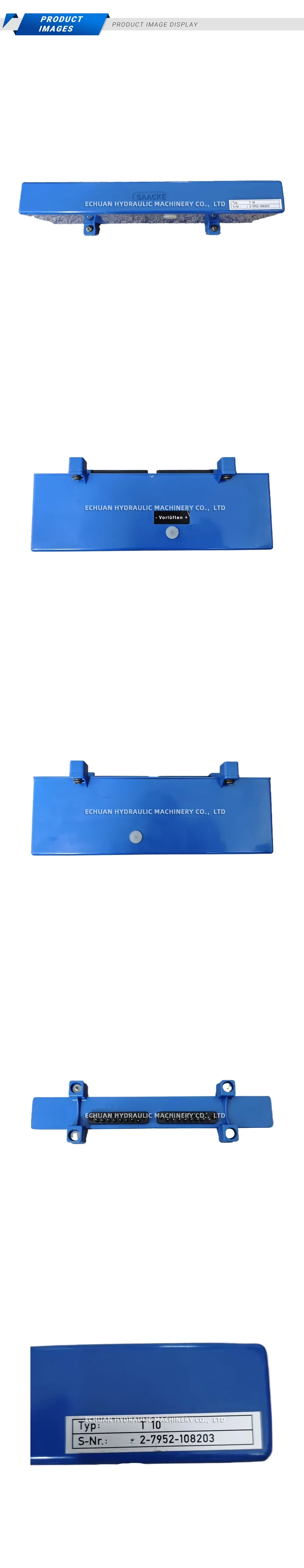 Saacke T10 Module Description