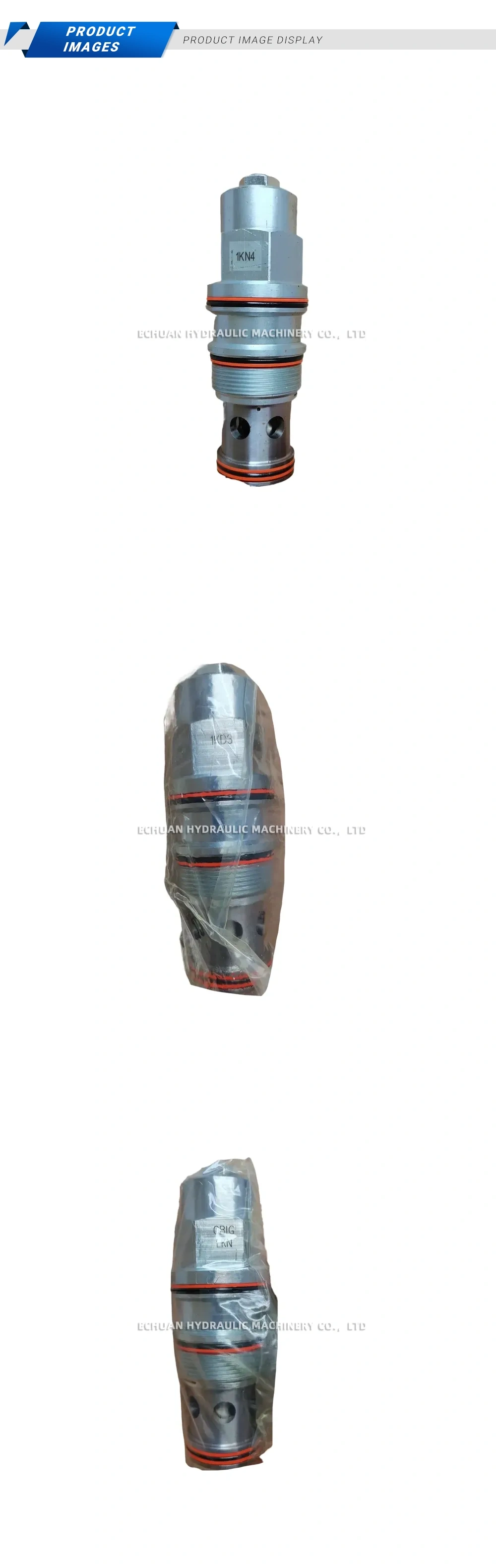 Sun CBIG-LKN Description