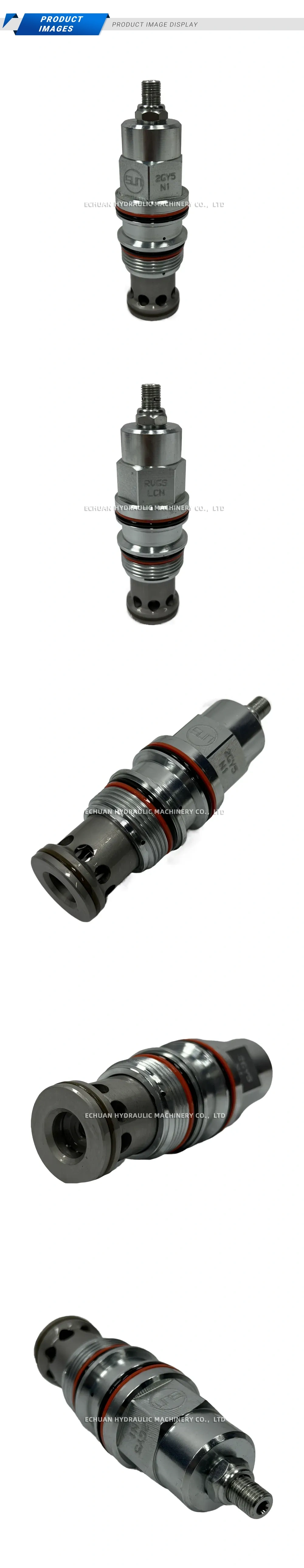 Sun RVGS-LCN Description