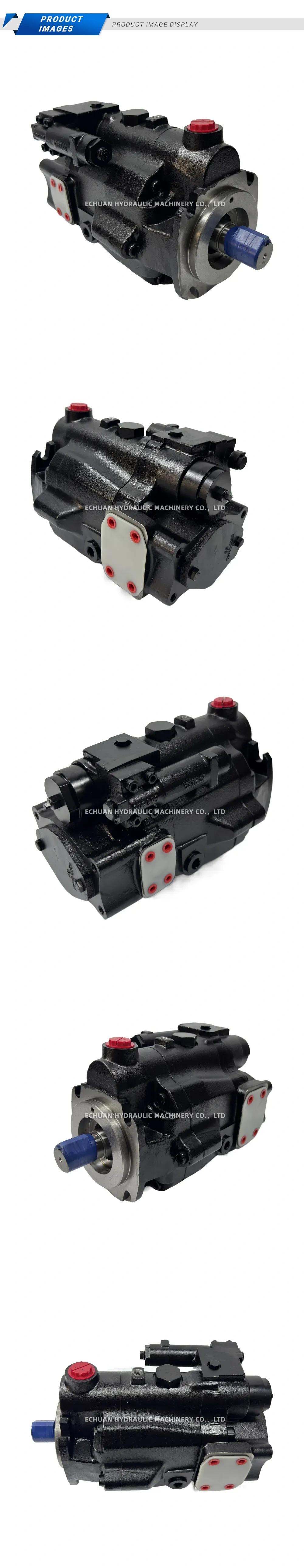 Vickers PVM074ER10GS02AAA2800000AA0A 123AL00404A Description