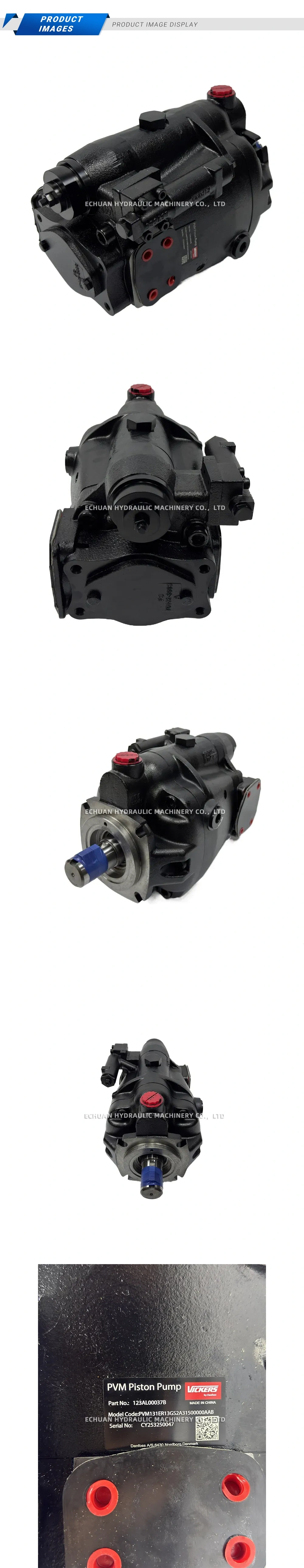 Vickers PVM131ER13GS2A31500000AAB 123AL00037B Description