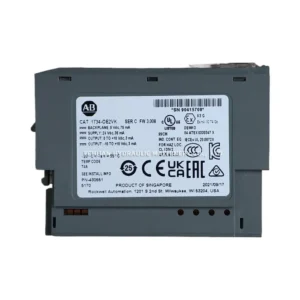 Allen-Bradley 1734-OE2VK Analog output module