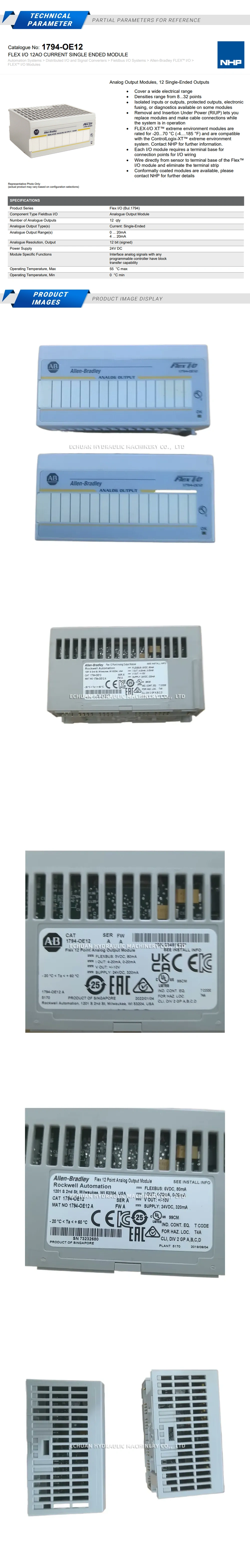 Allen-Bradley 1794-OE12 Description