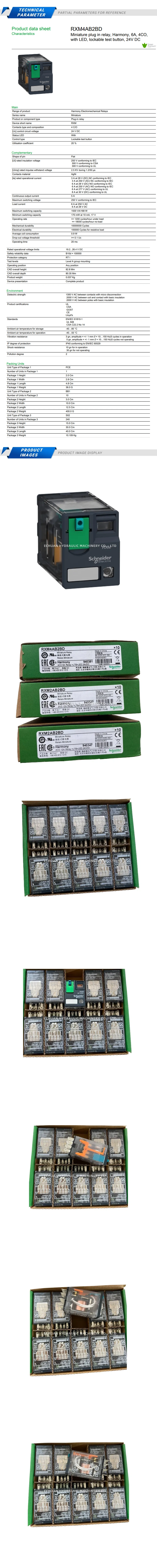 Schneider RXM4AB2BD Description