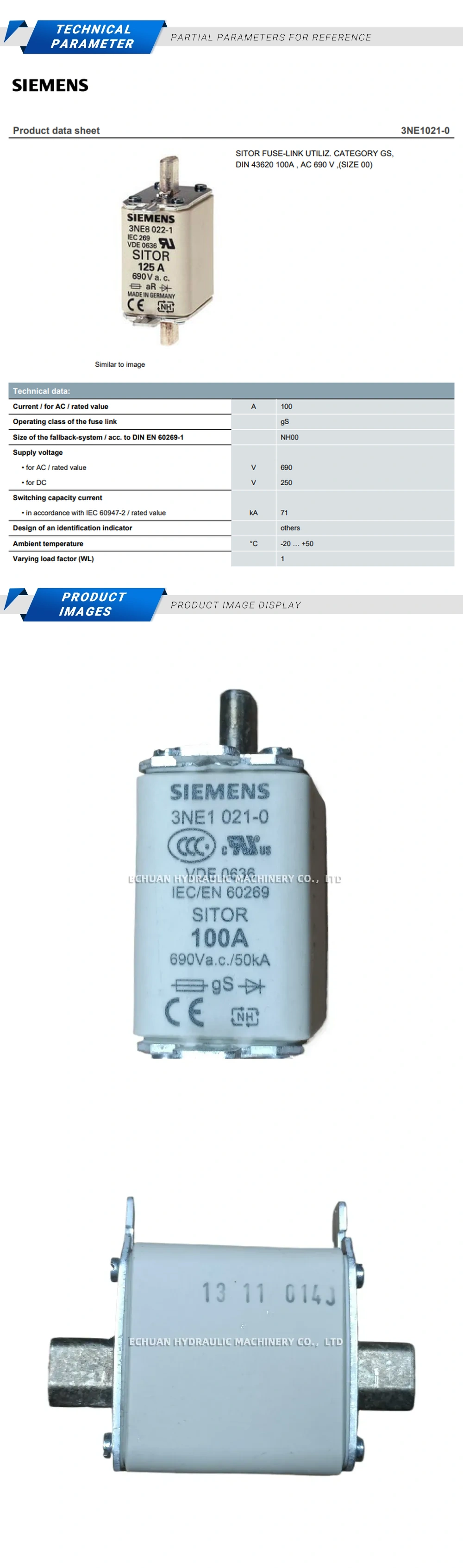 Siemens 3NE1021-0 Fuse Description