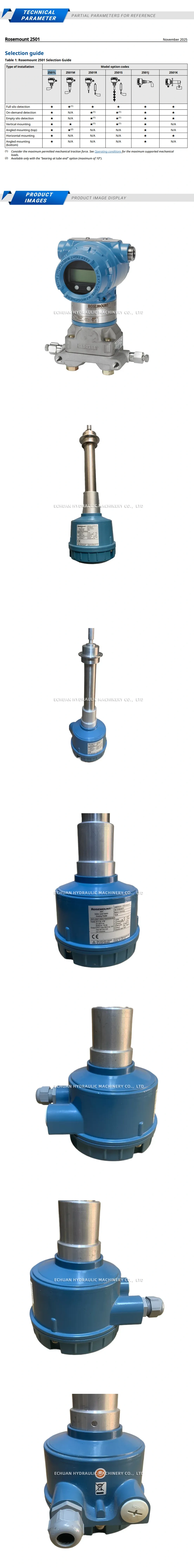 Rosemount 2501L2BSF12NNCFB00000NABQ4 Description