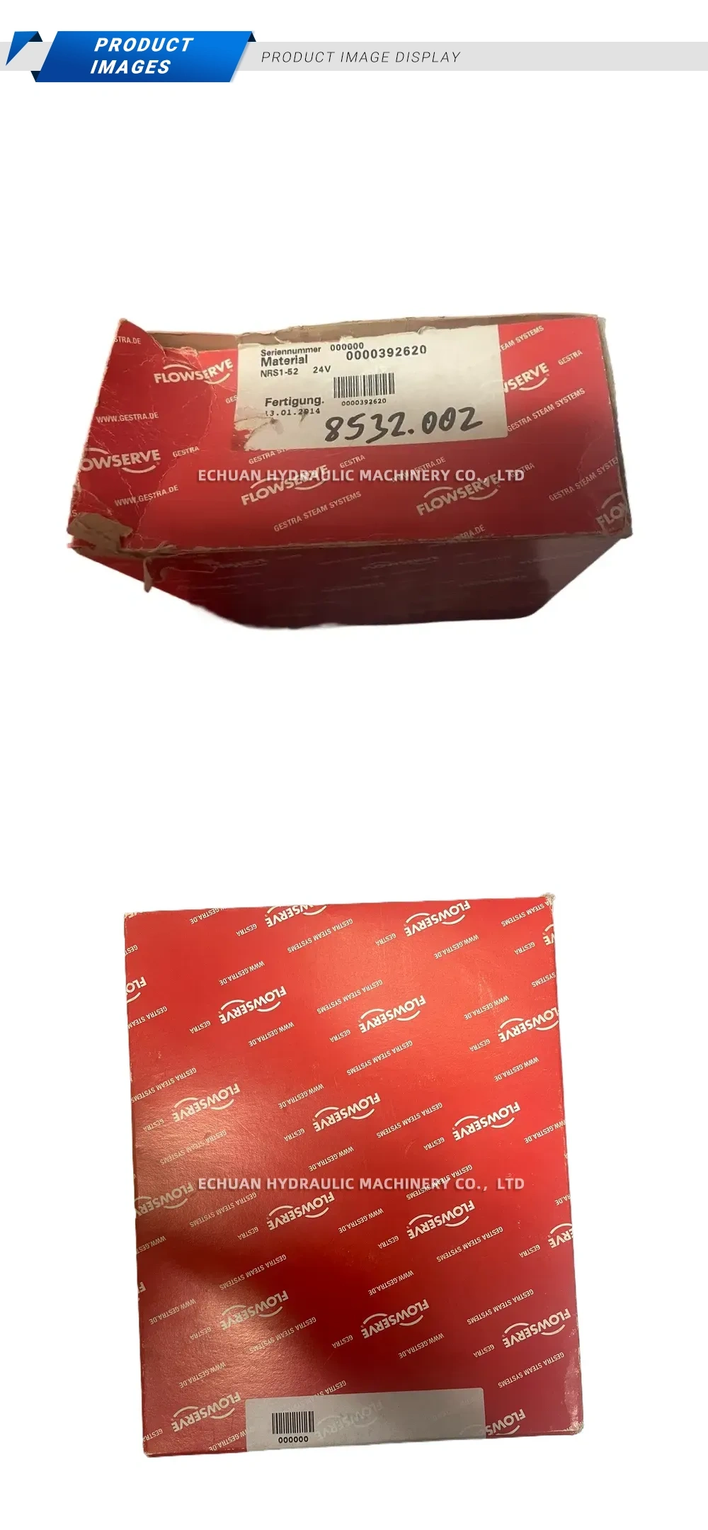 Flowserve NRS1-52 Level Switch Description