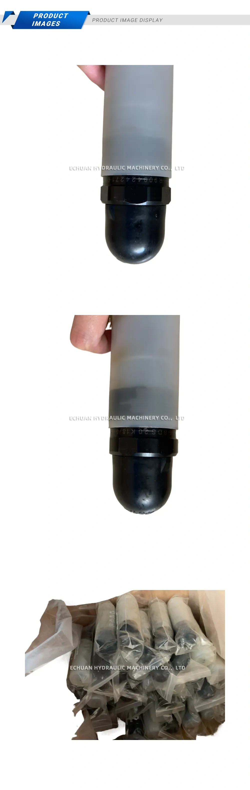 Rexroth DBDS20K1X/315 Hydraulic Pressure Relief Valve Description