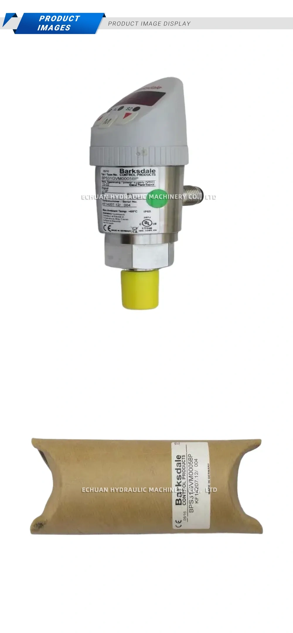 Barksdale BPS31GVM0005BP Digital Pressure Switch Description