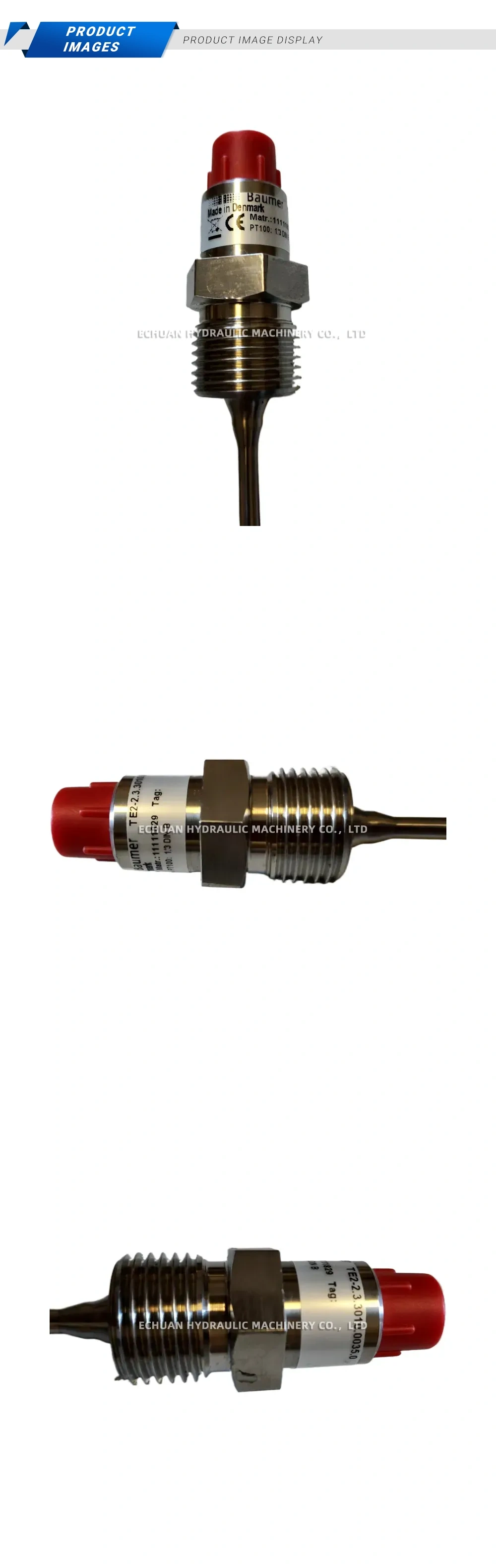 Baumer TE2-2.3.3010.0035.0 PT100 Temperature Sensor Description