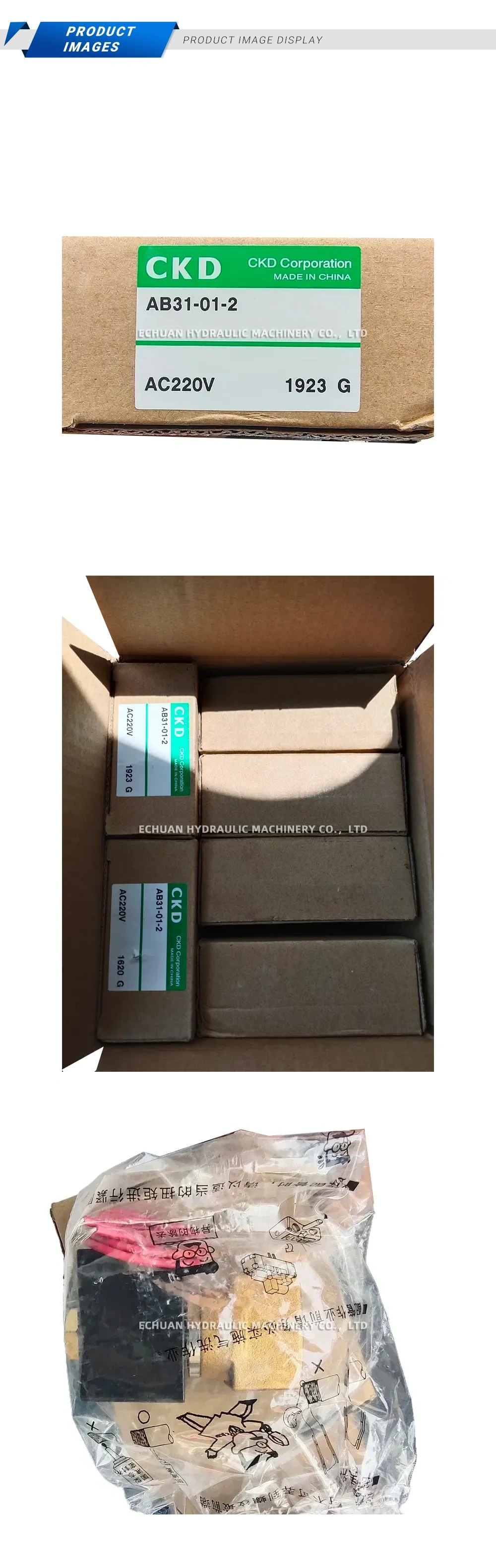 CKD AB31-01-2 Solenoid Valve Description