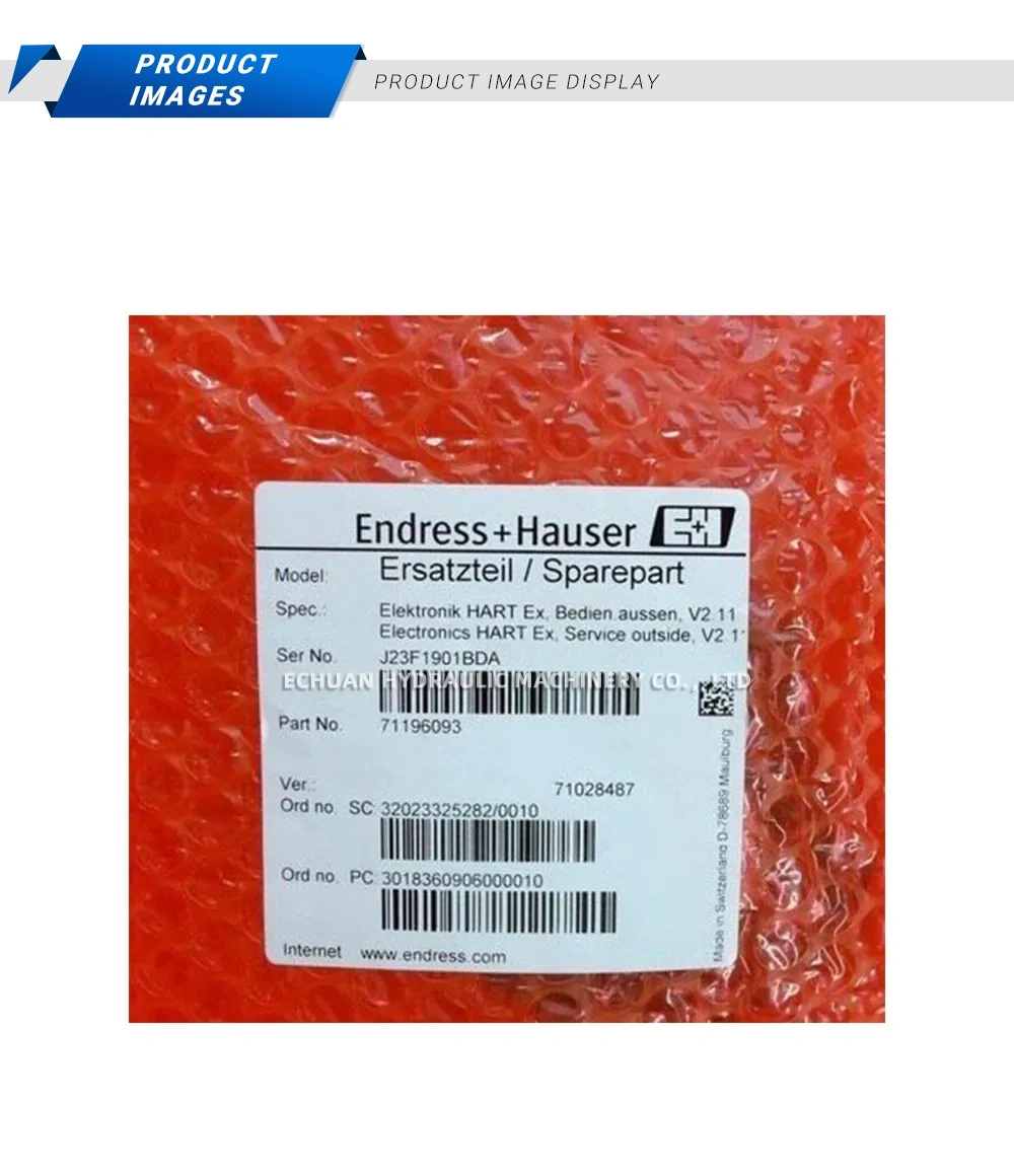 Endress+Hauser 71196093 Electronics Module Description