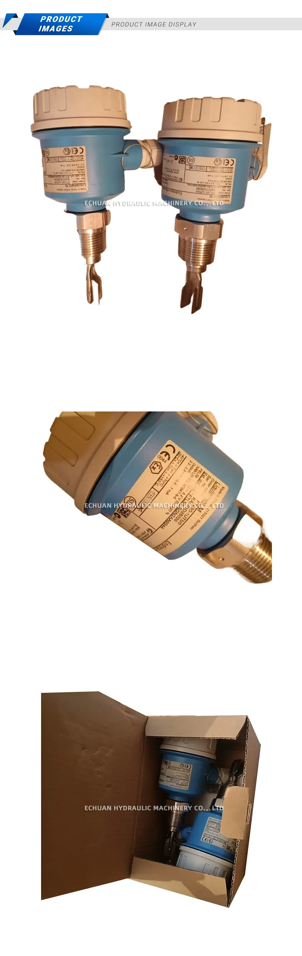 Endress+Hauser FTL50-UTG0 Vibration Limit Switch Description