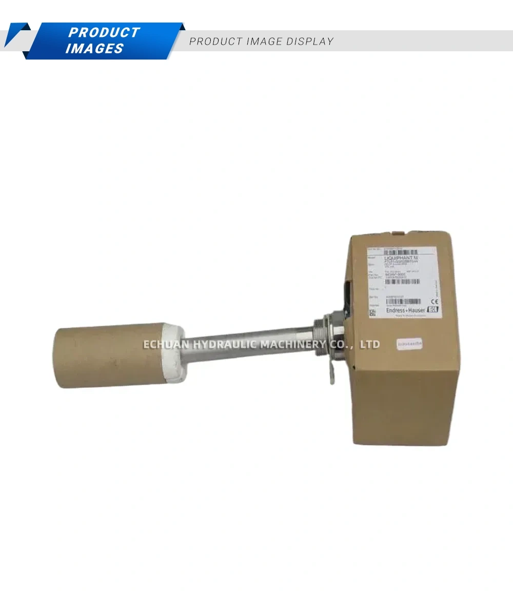 Endress+Hauser FTL51-GGR2BB7G4A Vibrating Level Switch Description