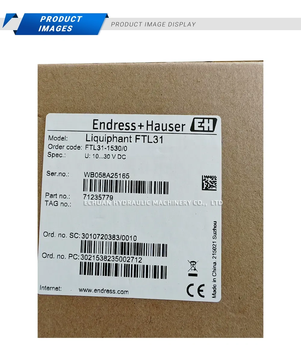 Endress+Hauser Liquiphant FTL31 Vibration Limit Switch Description
