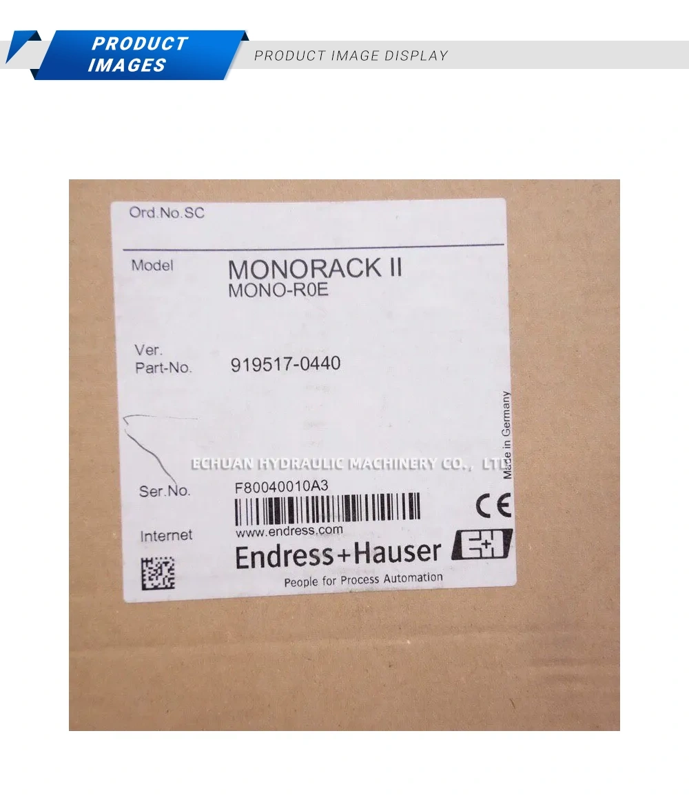 Endress+Hauser MONORACK II MONO-R0E Mounting Rack Module Description